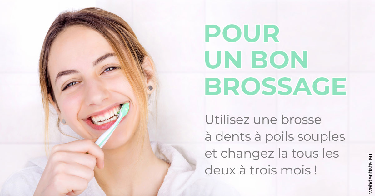 https://selarl-cabinet-dentaire-sevain.chirurgiens-dentistes.fr/Pour un bon brossage 2
