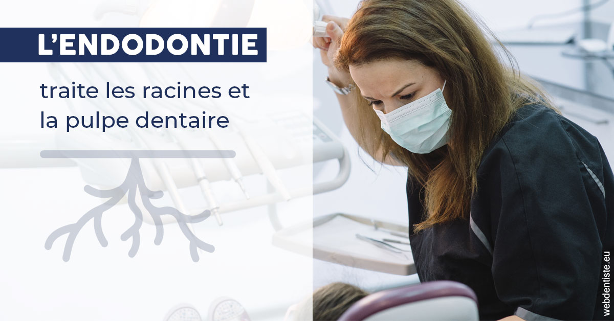 https://selarl-cabinet-dentaire-sevain.chirurgiens-dentistes.fr/L'endodontie 1