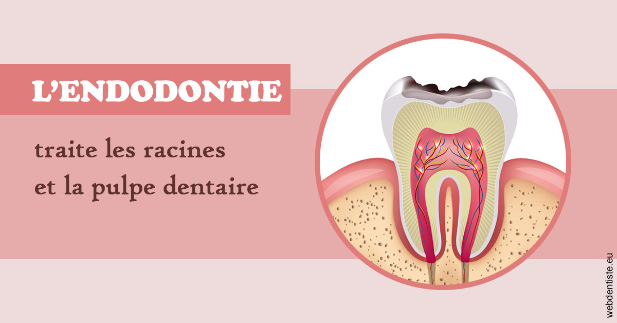 https://selarl-cabinet-dentaire-sevain.chirurgiens-dentistes.fr/L'endodontie 2