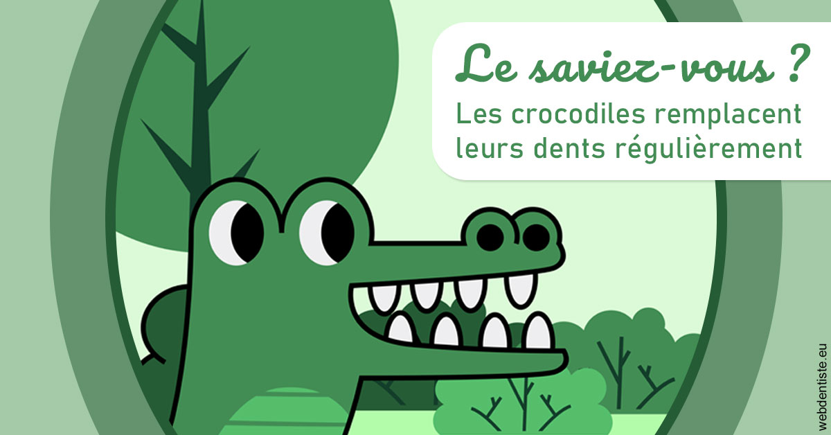 https://selarl-cabinet-dentaire-sevain.chirurgiens-dentistes.fr/Crocodiles 2