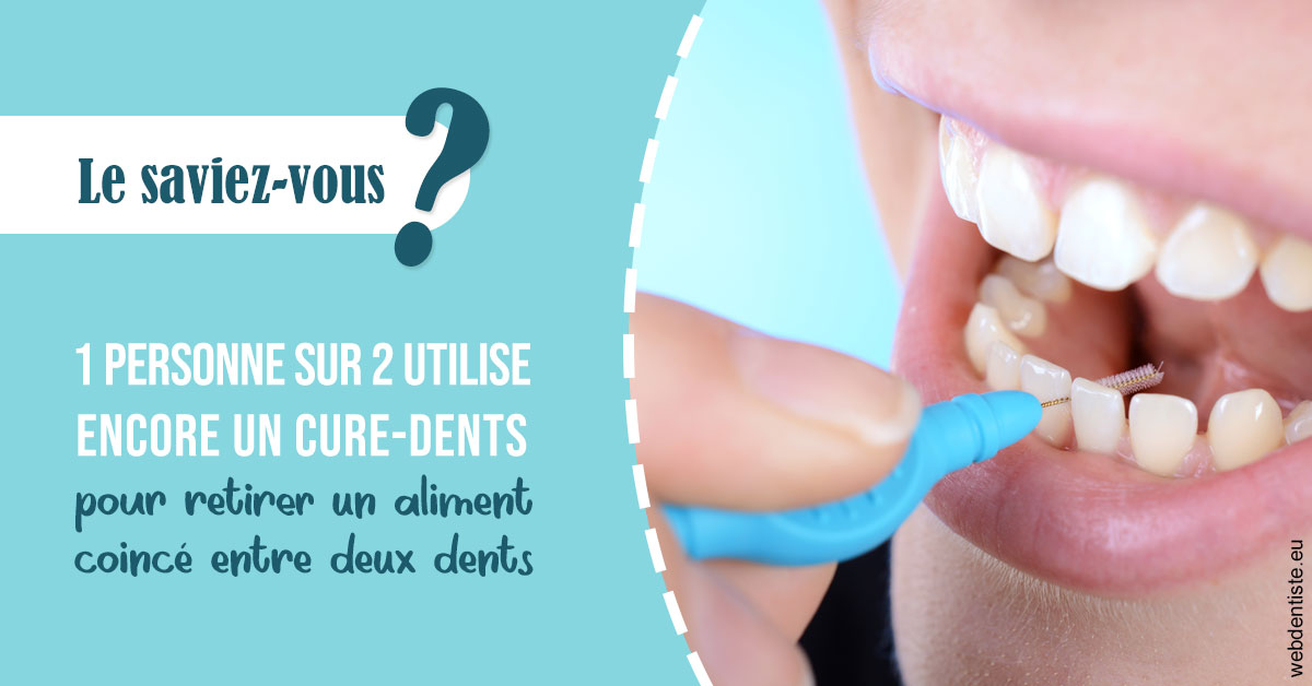 https://selarl-cabinet-dentaire-sevain.chirurgiens-dentistes.fr/Cure-dents 1