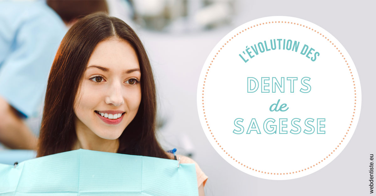 https://selarl-cabinet-dentaire-sevain.chirurgiens-dentistes.fr/Evolution dents de sagesse 2