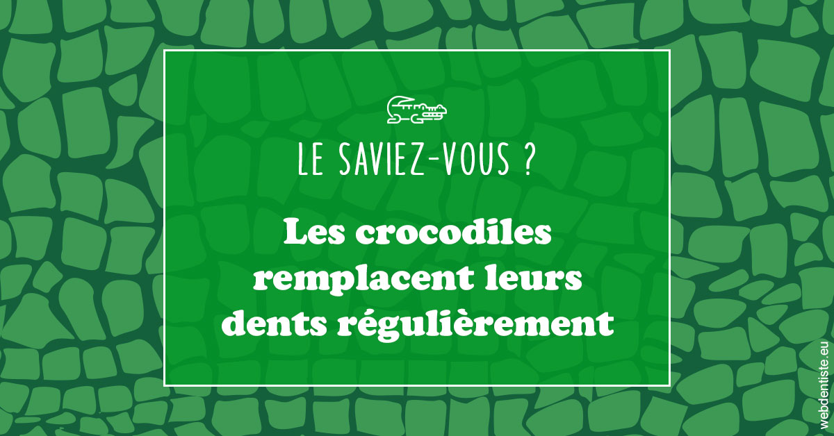 https://selarl-cabinet-dentaire-sevain.chirurgiens-dentistes.fr/Crocodiles 1
